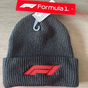 Official F1 Licensed Stocking Cap